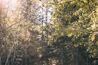 Peak and Pebble Photography - 2