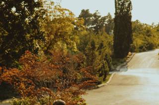 Heart of Hearts Photography - 7