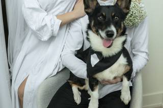 Bride Dream Cinema - 1