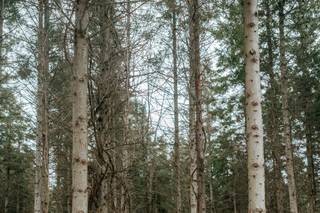 Northumberland Heights Wellness Retreat and Spa - 1