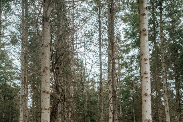 Northumberland Heights Wellness Retreat and Spa 1