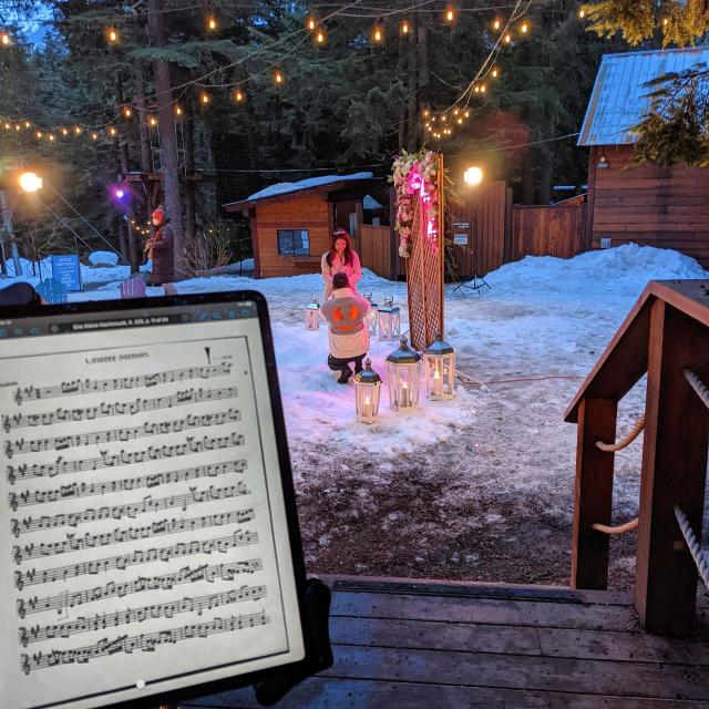 Violin for your Wedding - 4
