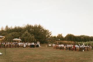 Willow Garden Farm - 5
