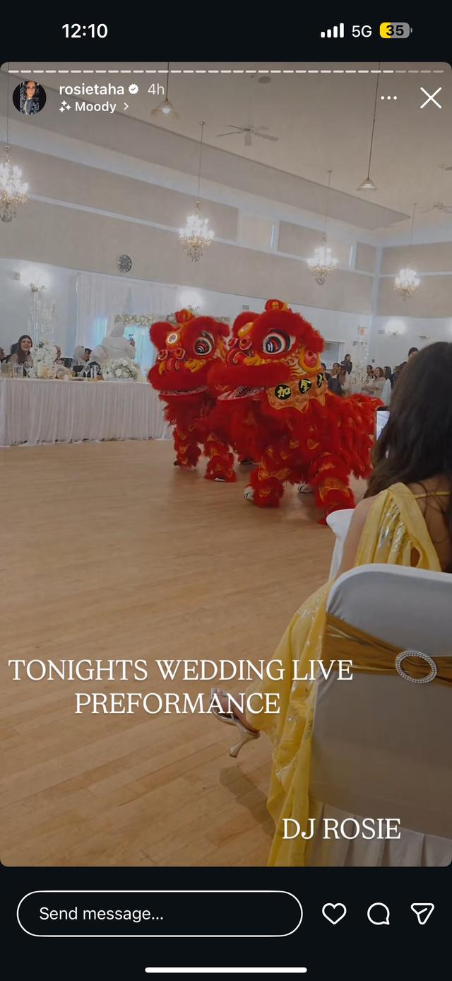 Hong De Cultural - Lion Dance - 2