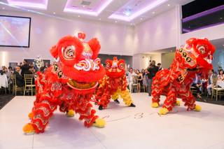 Hong De Cultural - Lion Dance - 6