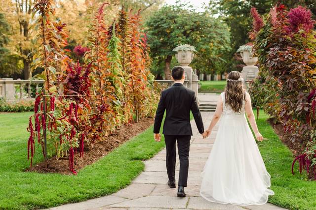 Purple Tree Wedding Photography 5