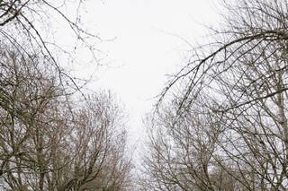 Michelle Chartrand Photography - 7