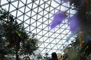 Bloedel Conservatory - 9