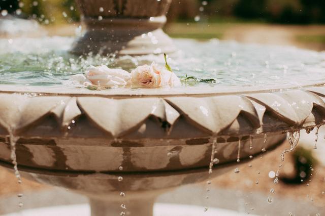 The Prairie Willow Co. - 1