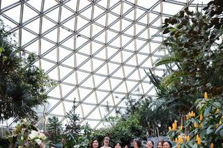 Bloedel Conservatory - 10