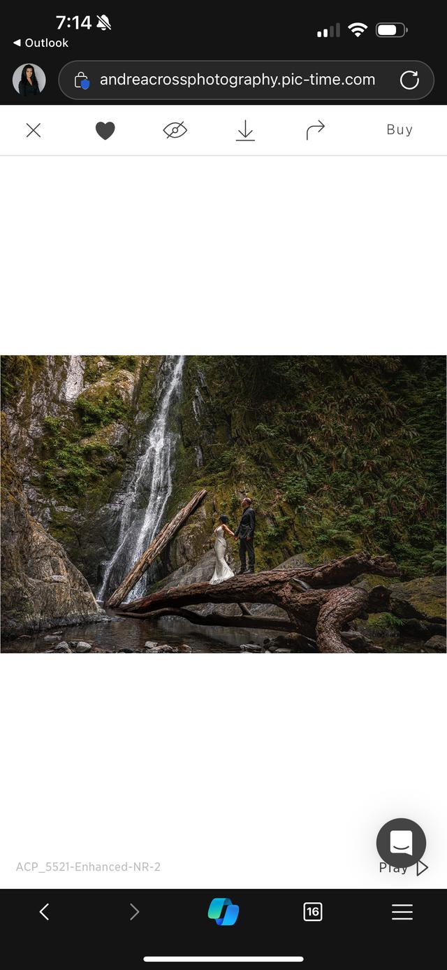 Andrea Cross Photography - 2