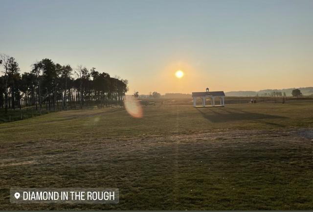 Diamond in the Rough Wedding and Events Venue - 1
