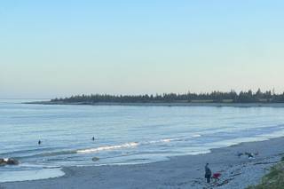 Stephanie's Weddings & Events - 5