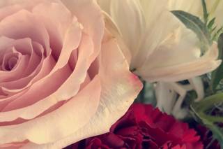 McKean's Flowers - 8