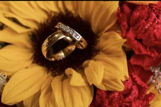 Heather Windsor Photography - 7