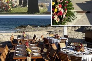 Designed Dream Wedding & Event Planning - 5