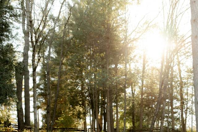Agatha Rowland Photography 4