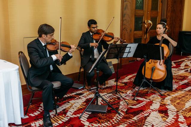 Cadenza Strings 4