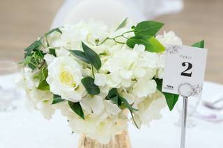 Photography By Shivani - 8