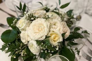 Divine Floral - 6