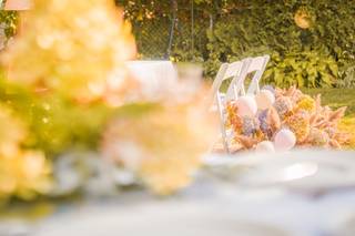 Tracy Sweet - Ontario Wedding Officiant - 6