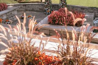 Pristine Designs and Decor - 9