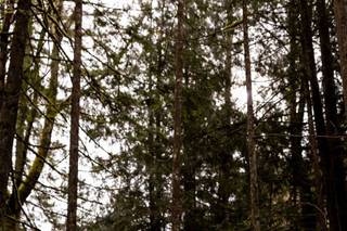 Alysha Eileen Photography - 6