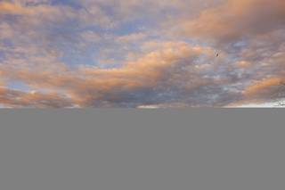 Dudek Photography - 11