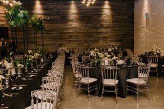 Tania Pollack Design - 6