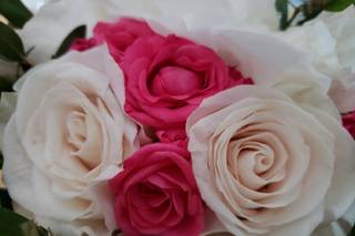 Fascination Flowers - 5