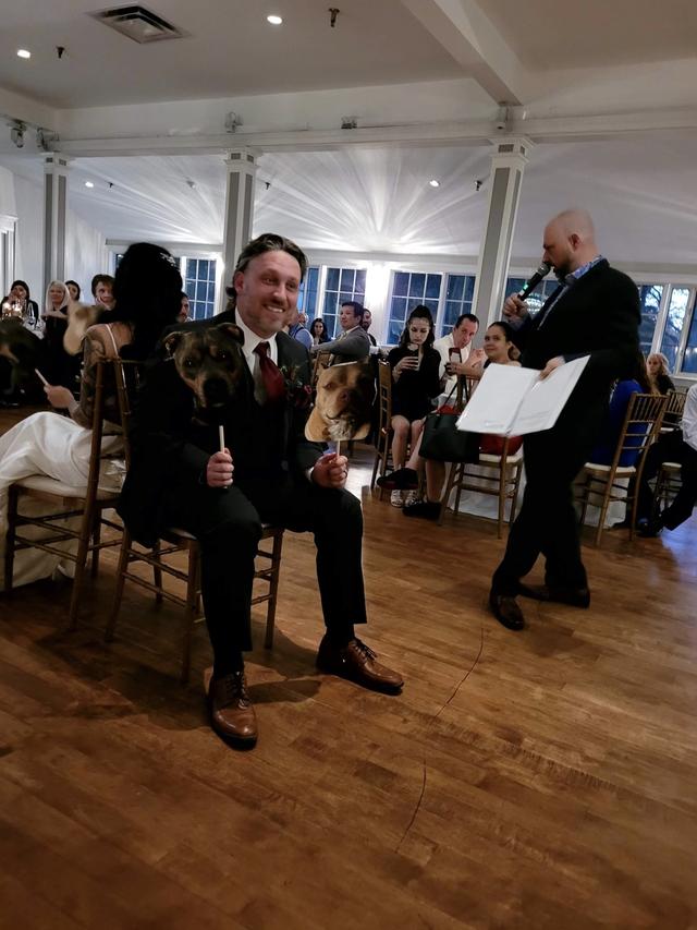 The Sounds DJ Services and Entertainment - 3