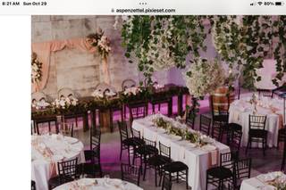 Tangled Roots Venue - 1
