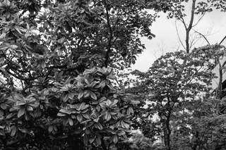 Michelle Chartrand Photography - 10