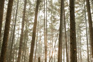 Abigail Eveline Photography - 1