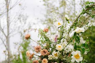 Hawthorn Plains - 12