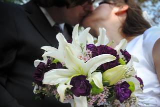 Amanda Swanson Photography - 9