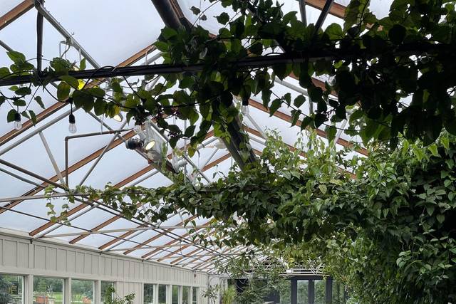 Madison Greenhouse Event Venue 5