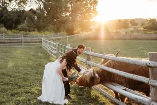 Hollowbrook Highlands - 5