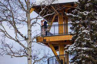 Cole Hofstra Photography - 13