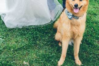 Sarah Wiggins Photography - 1