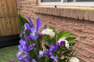 Luda Flower Salon - 5