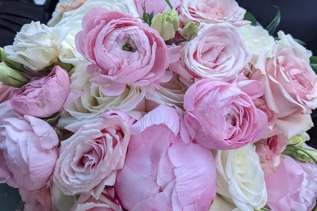Dream Occasions 3