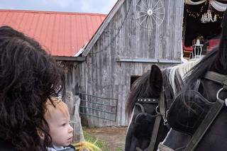 Wagonwheel Ranch - 6