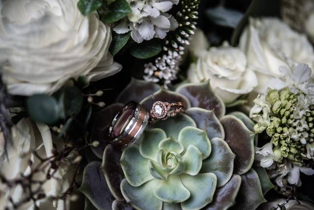 Wild Ivy Designs 3