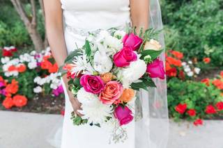 Calico Cat Productions - 8