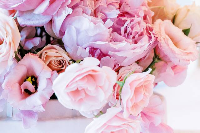 Sugar Plum Couture Events 4