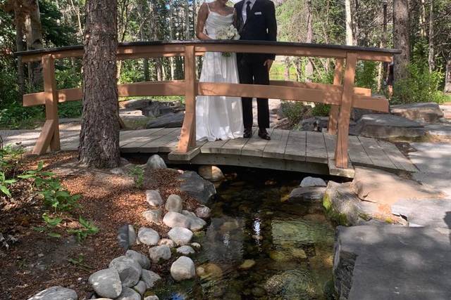 Sharon Barwick Weddings 4