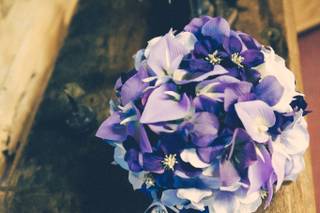 Love Free Studios - 4