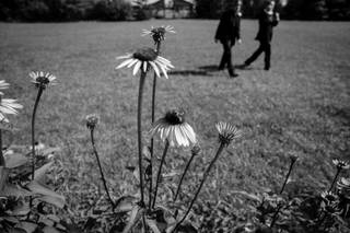 Love Free Studios - 5