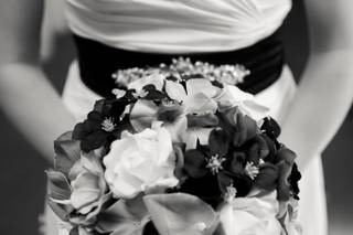 Love Free Studios - 6